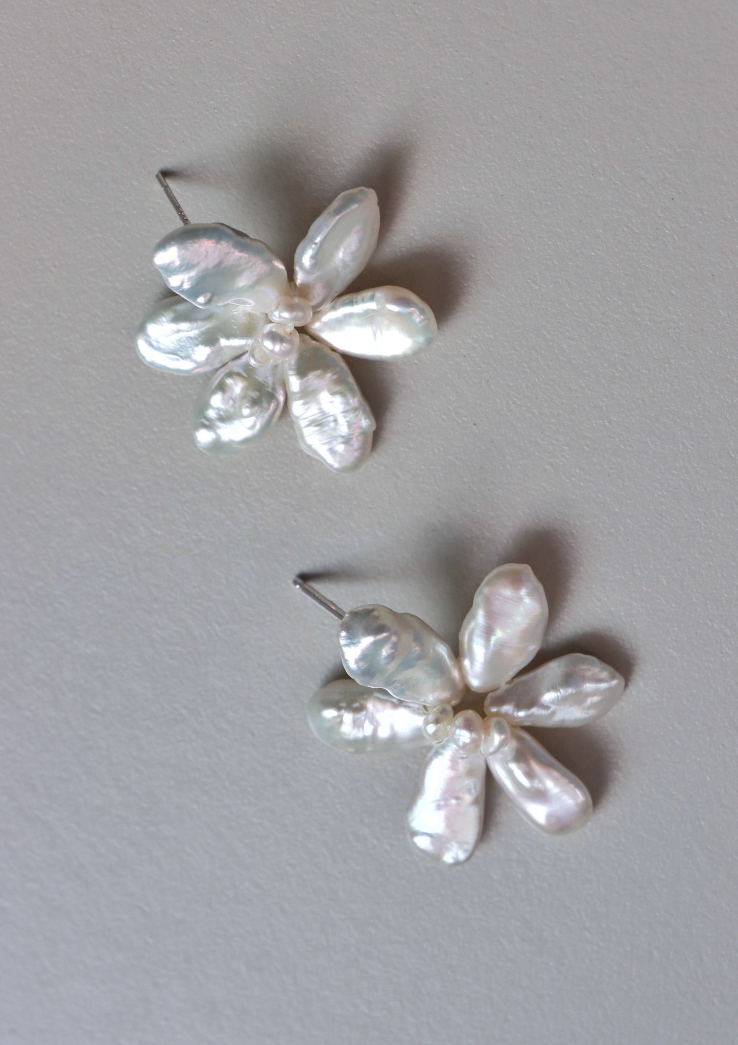 Bellis Perennis The Daisy