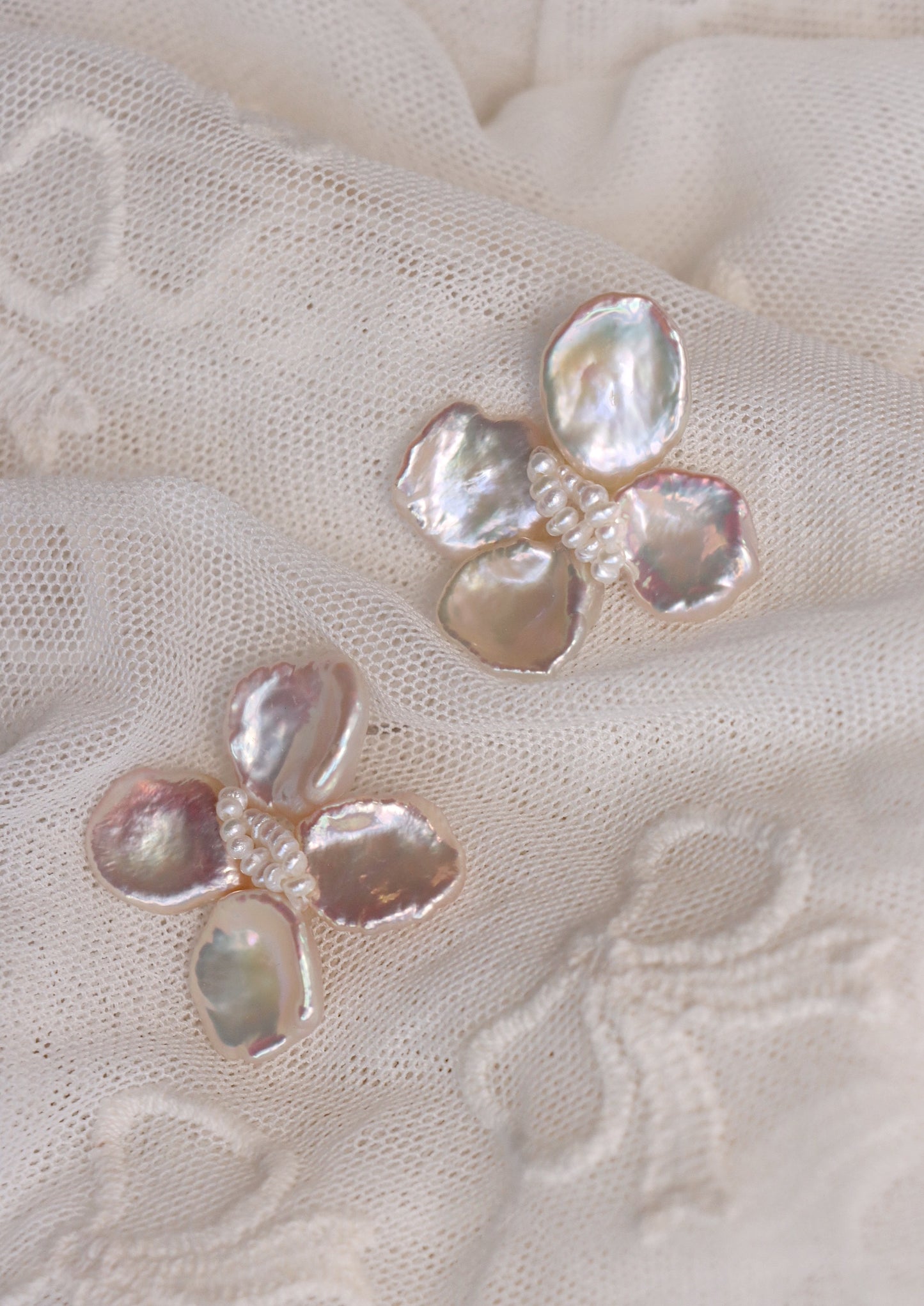 Camellia In Champagne - ARLIA