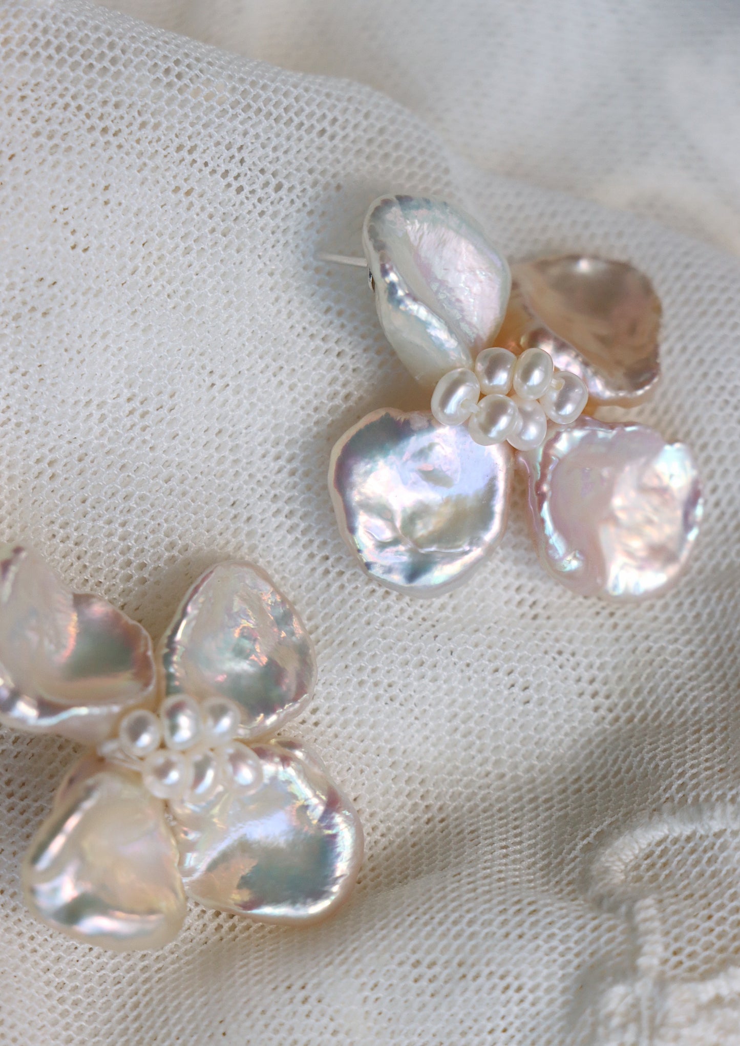 Camellia In Champagne - AELLA