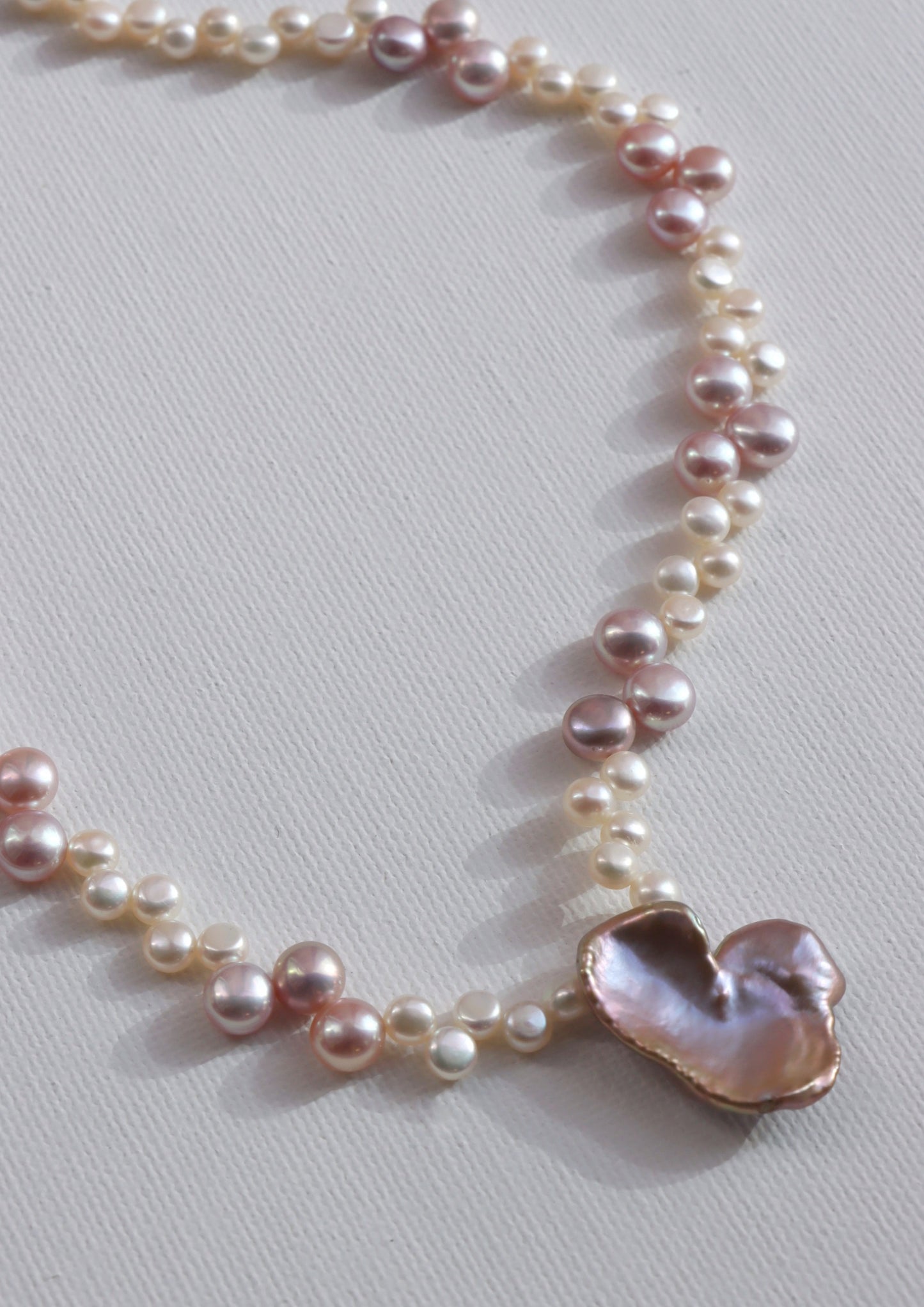 The Sun And Her Flowers