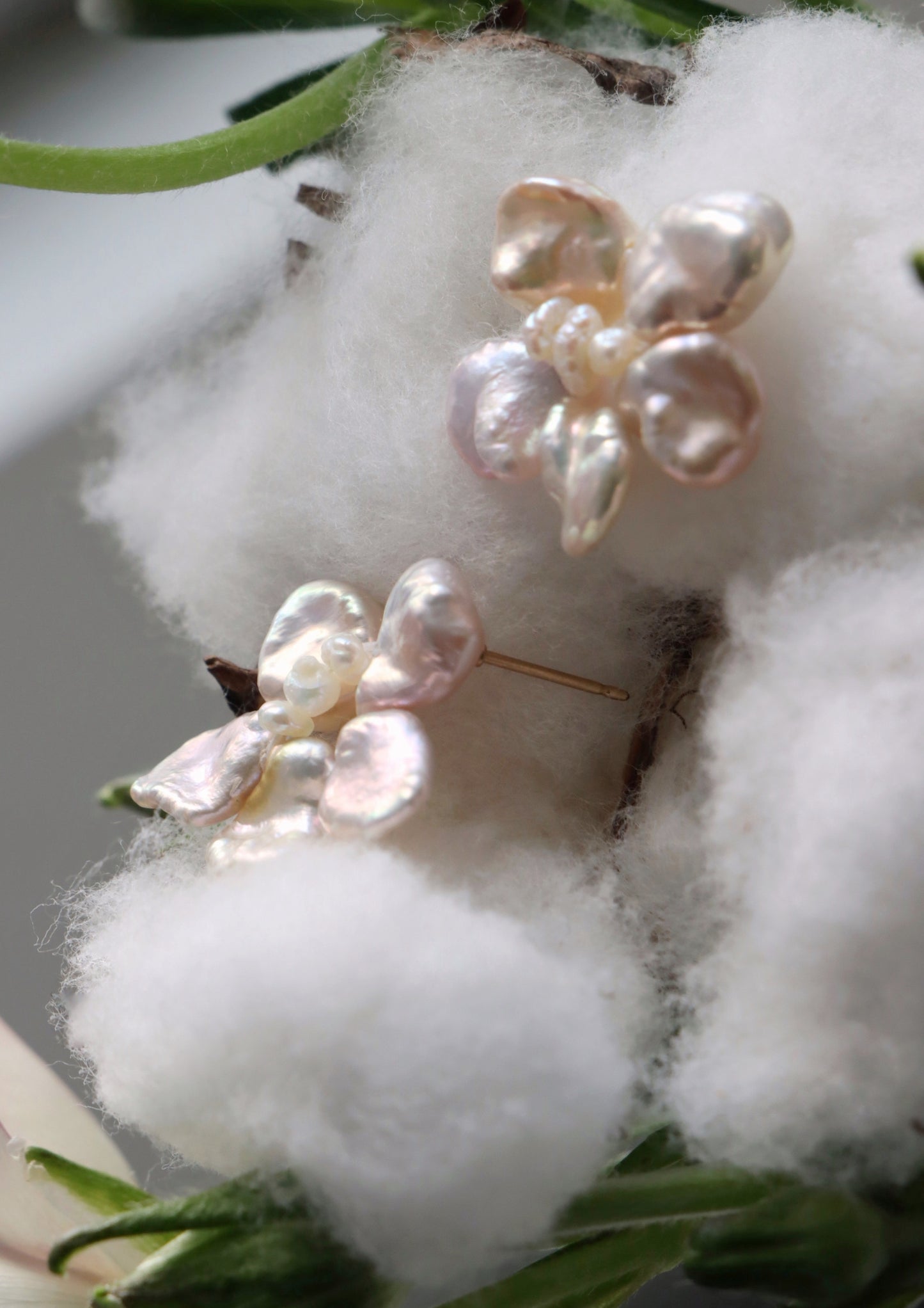 Exotic Beauty - Tala