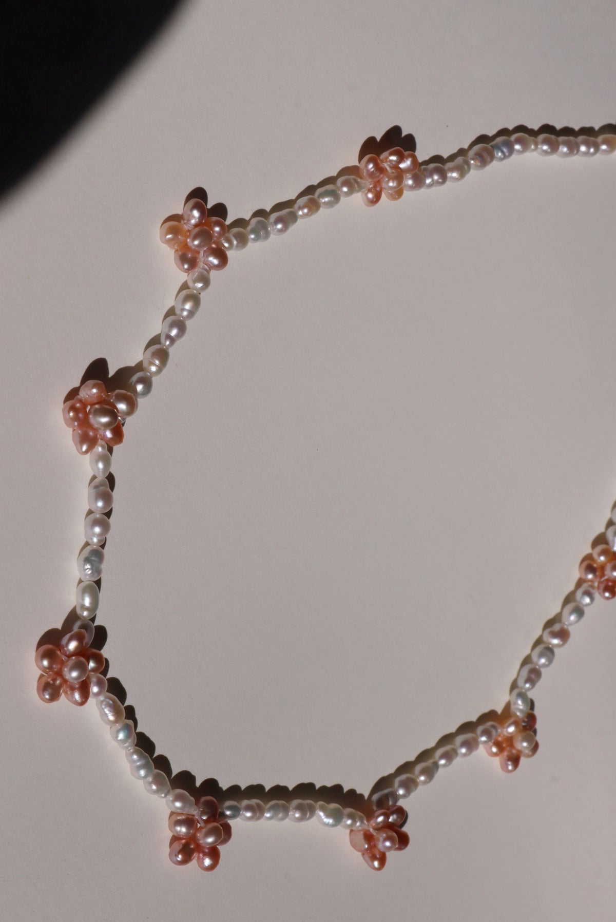 Orange Blossom