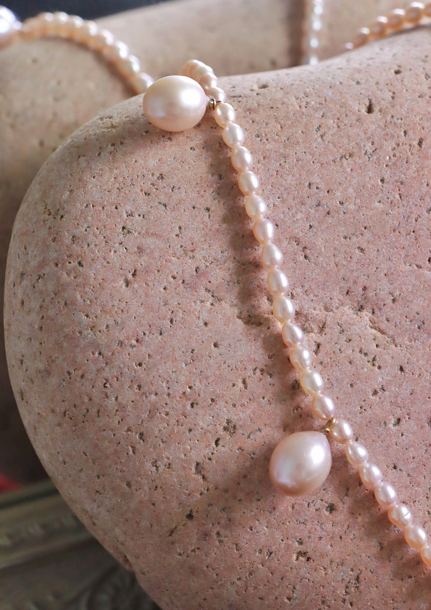 Bloom Wild And Untamed