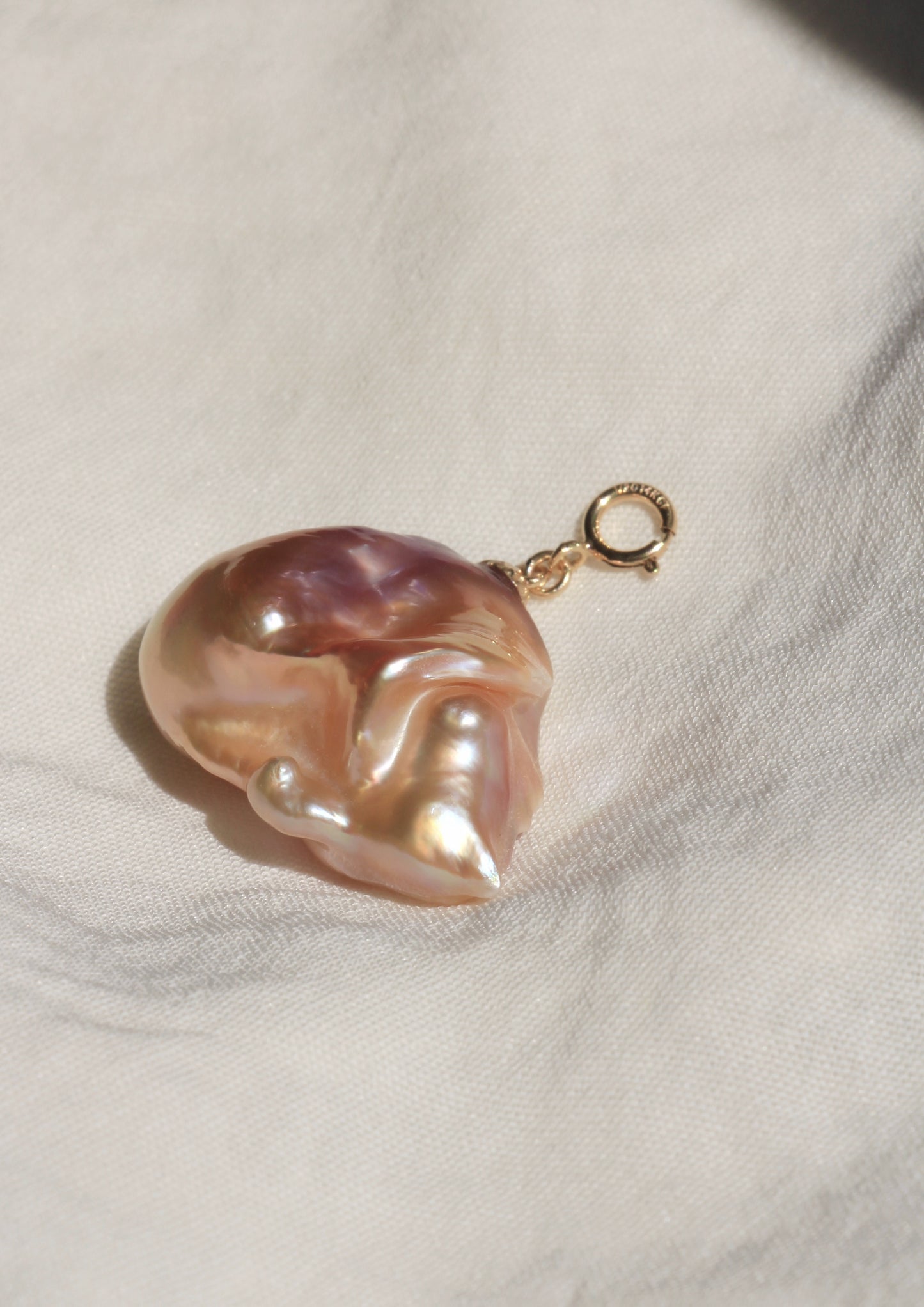 Look At The Small Hedgehog