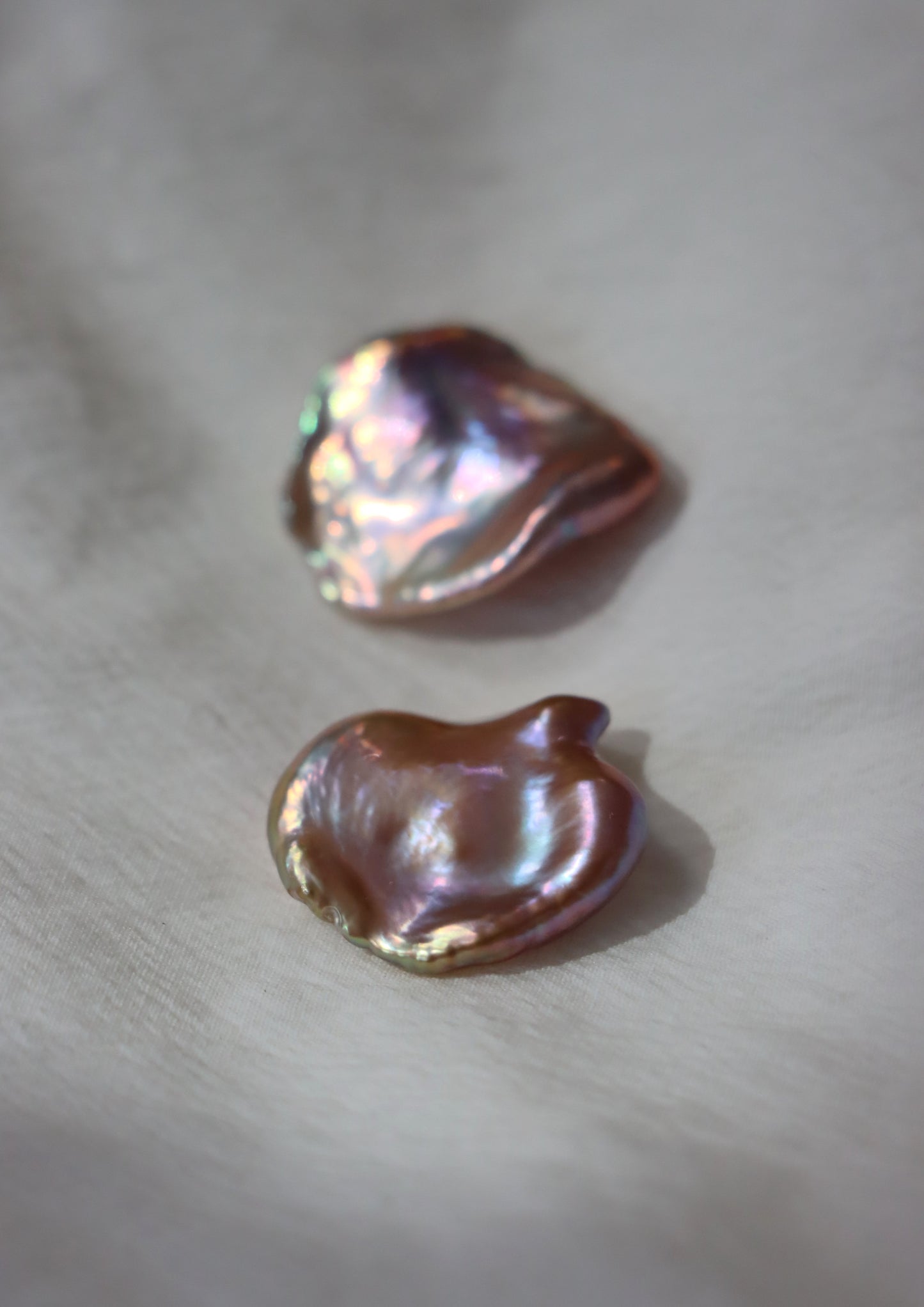 Truffle Blush