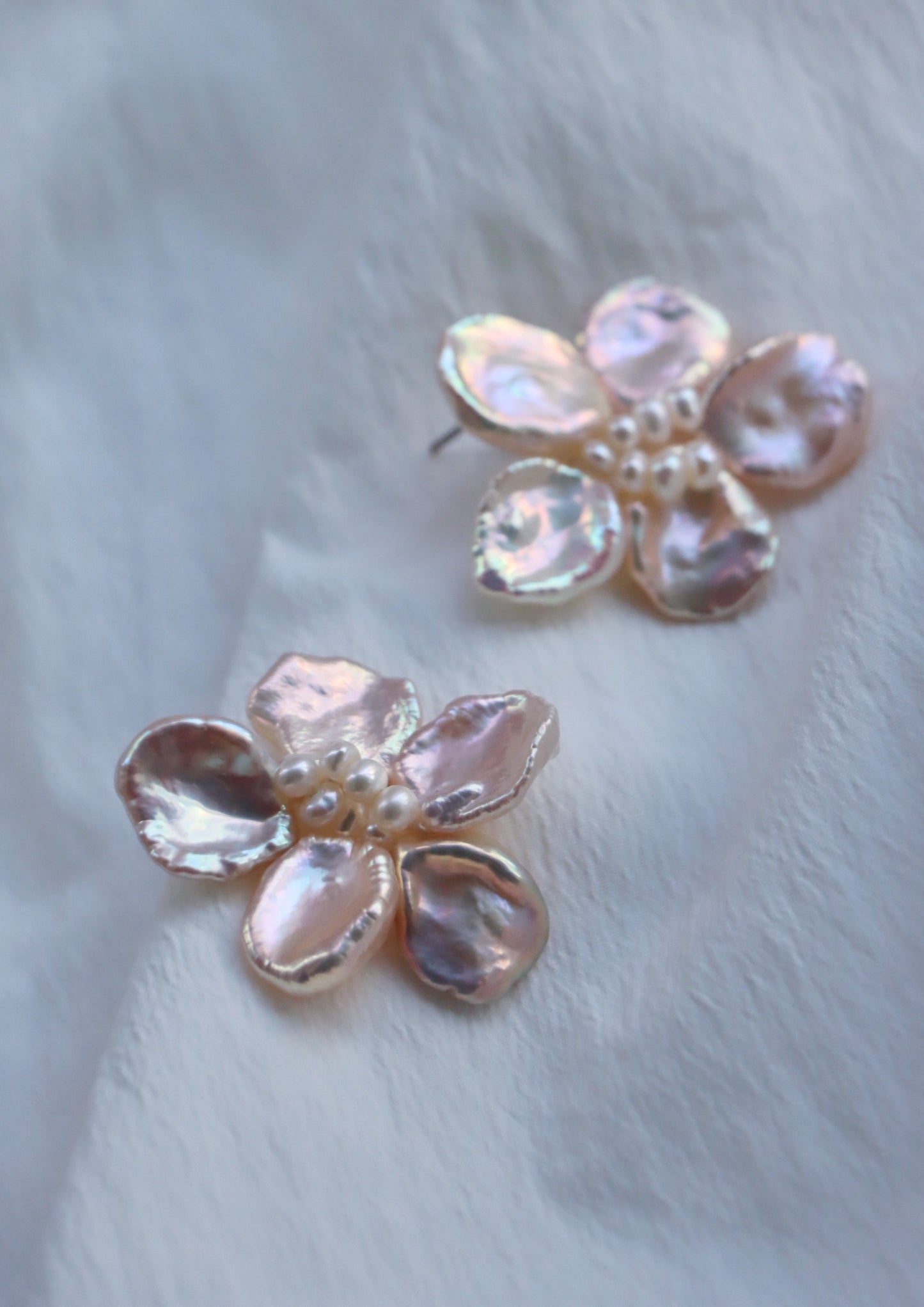 Camellia In Champagne