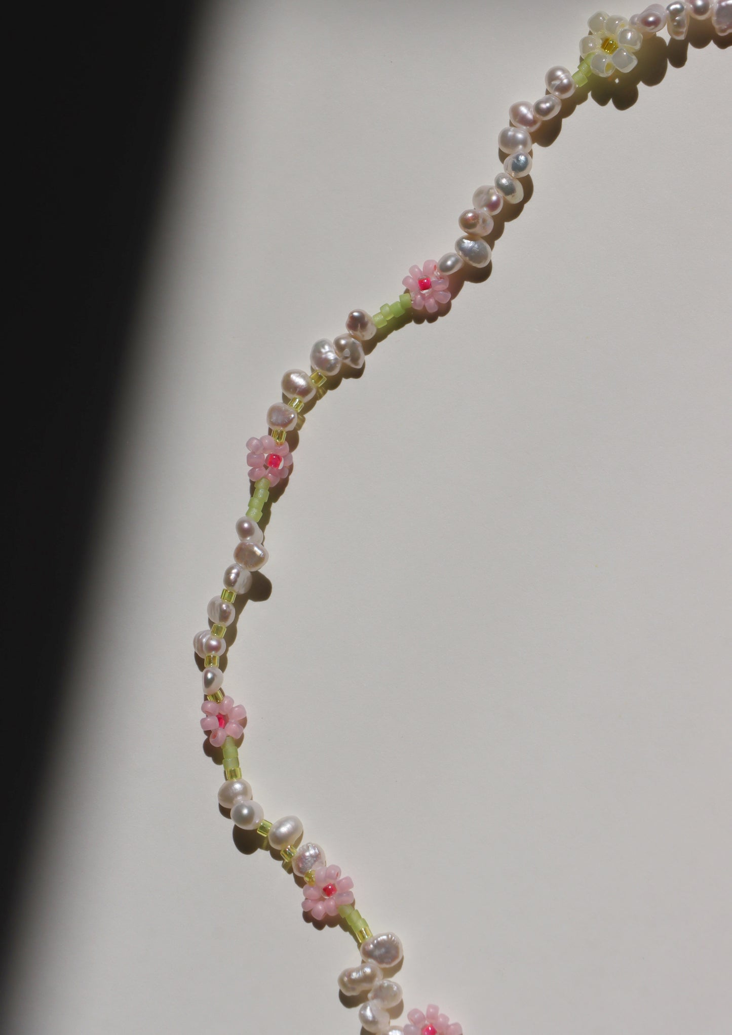 A Pink tulip