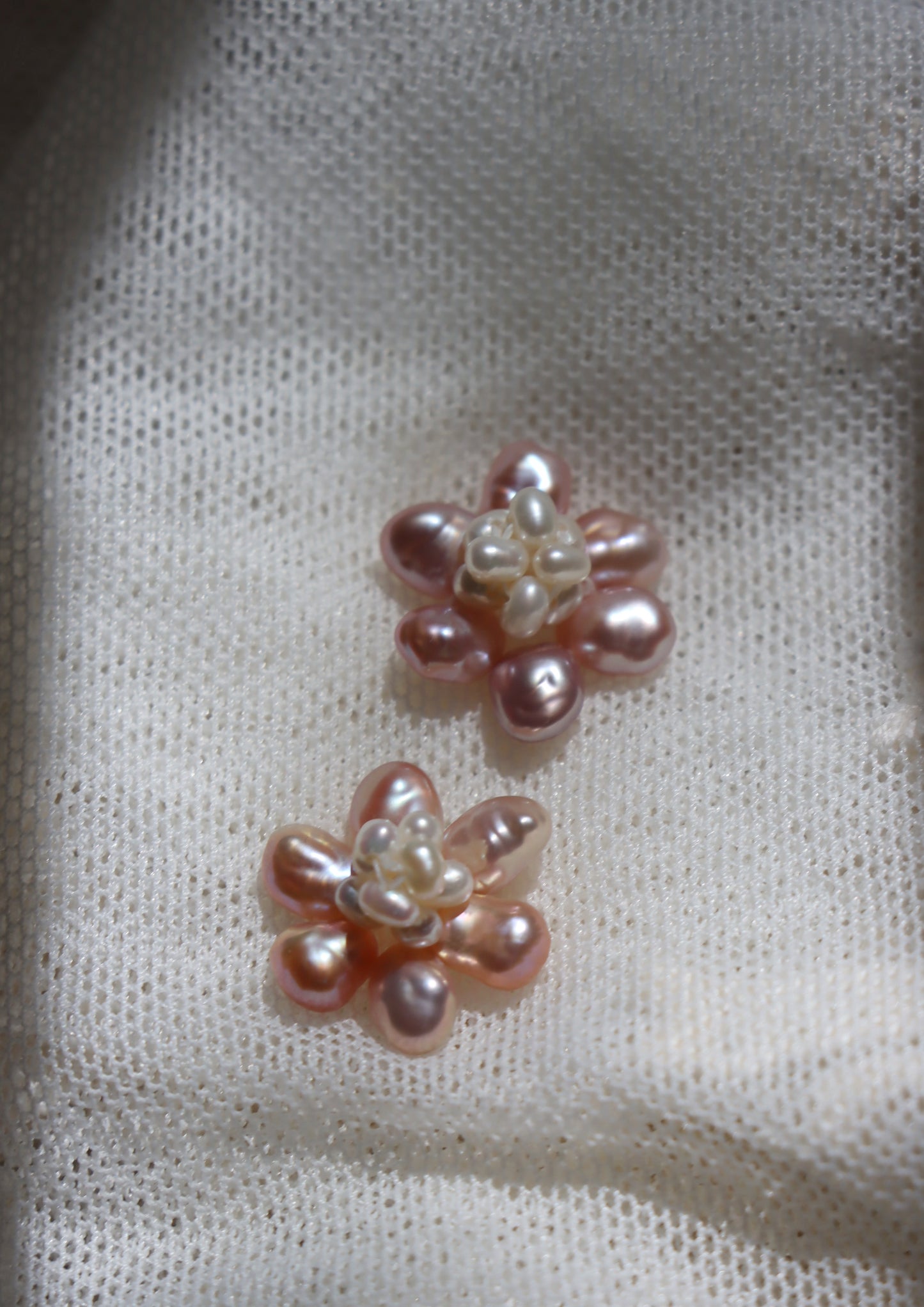 Caramelised Daisies