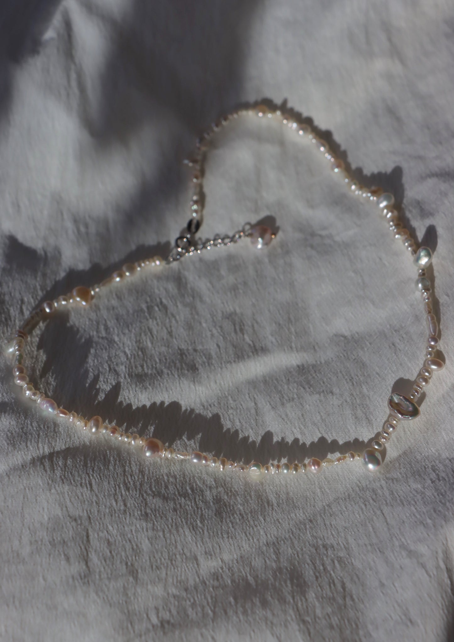 Snow White’s Favorite