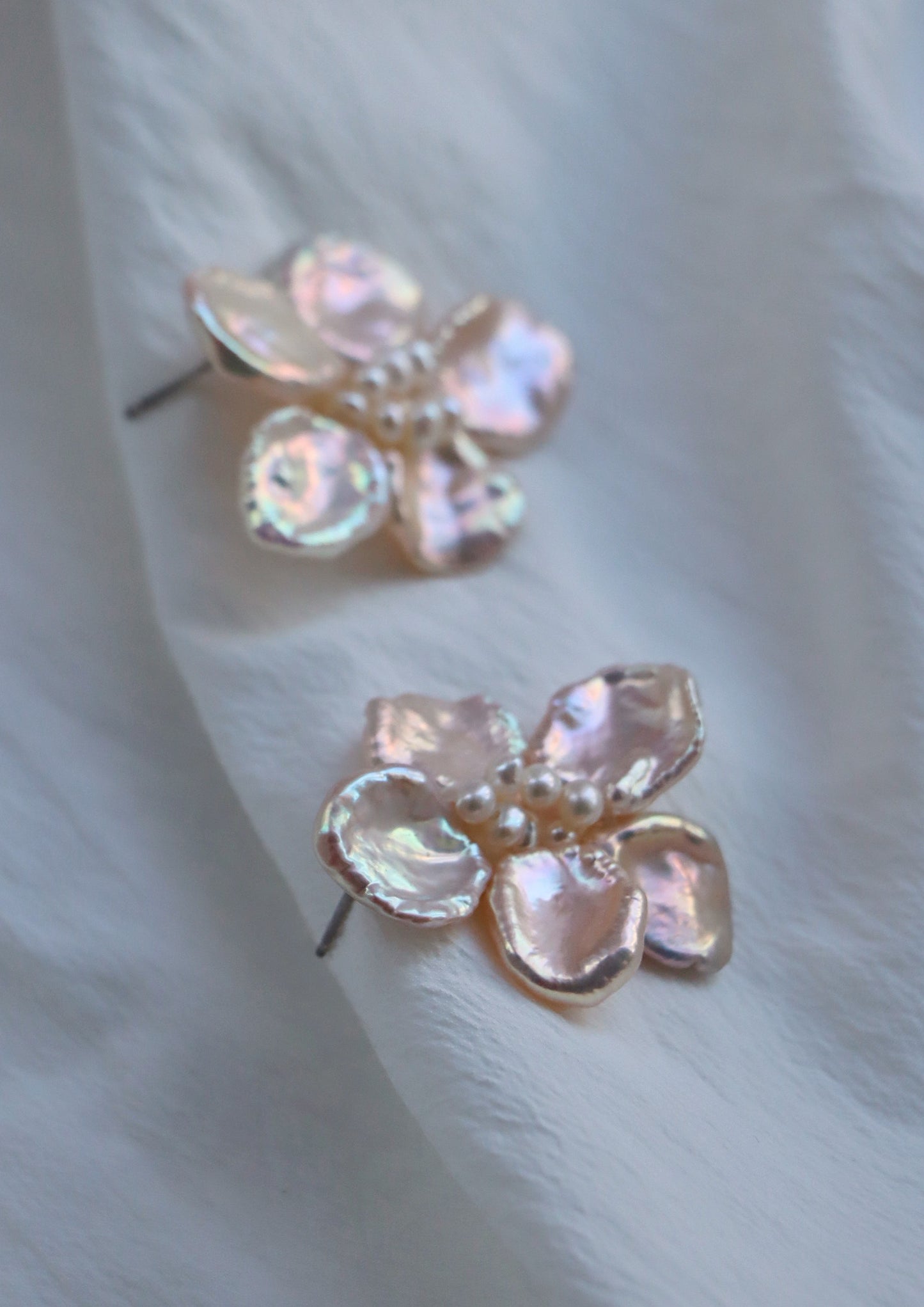 Camellia In Champagne