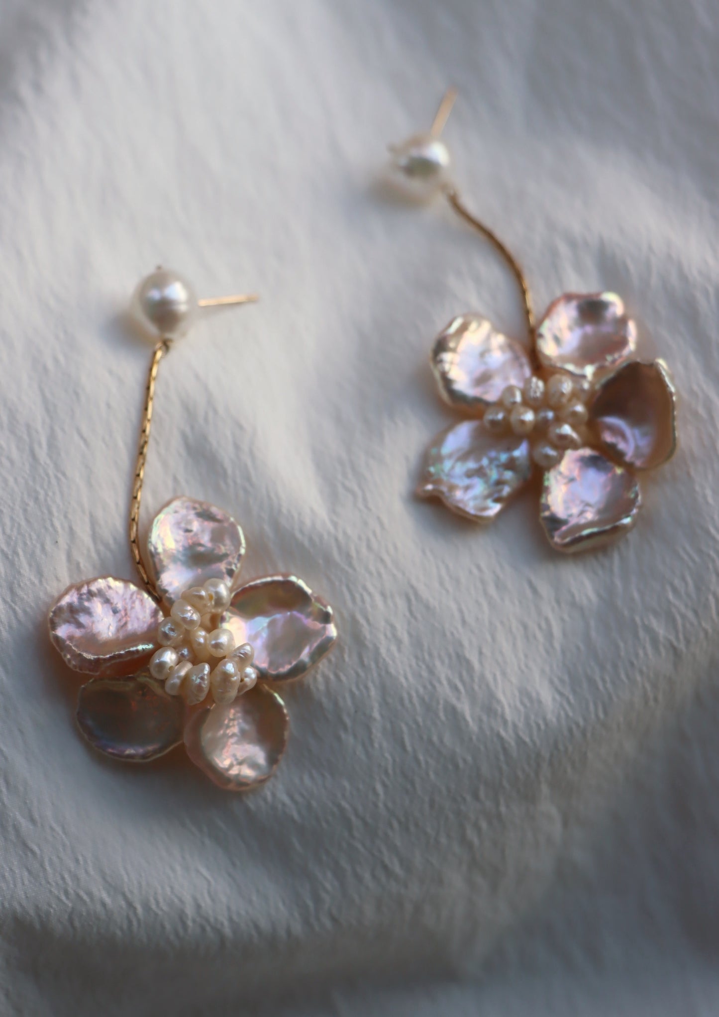 Camellia In Champagne (Long)