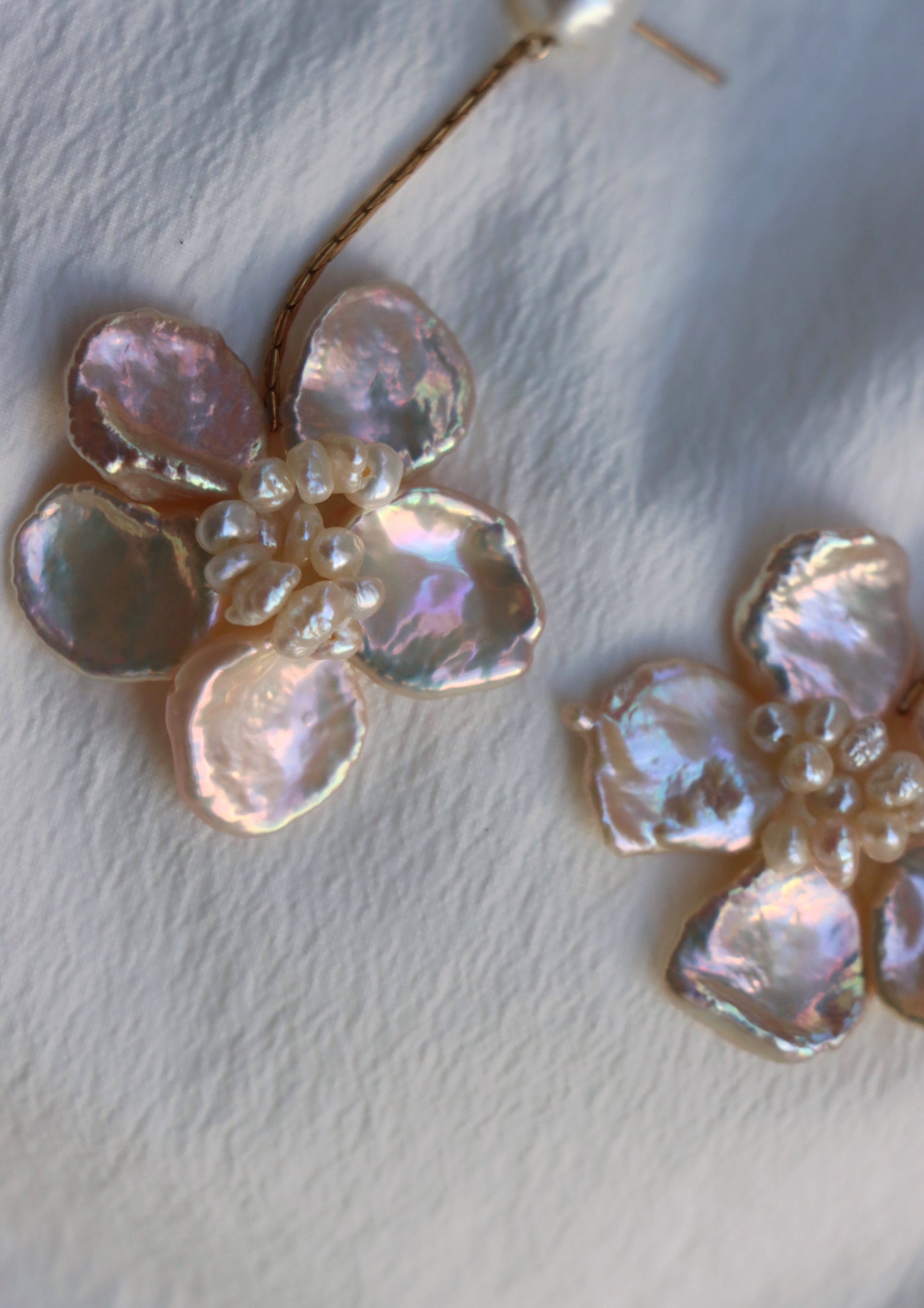 Camellia In Champagne (Long)