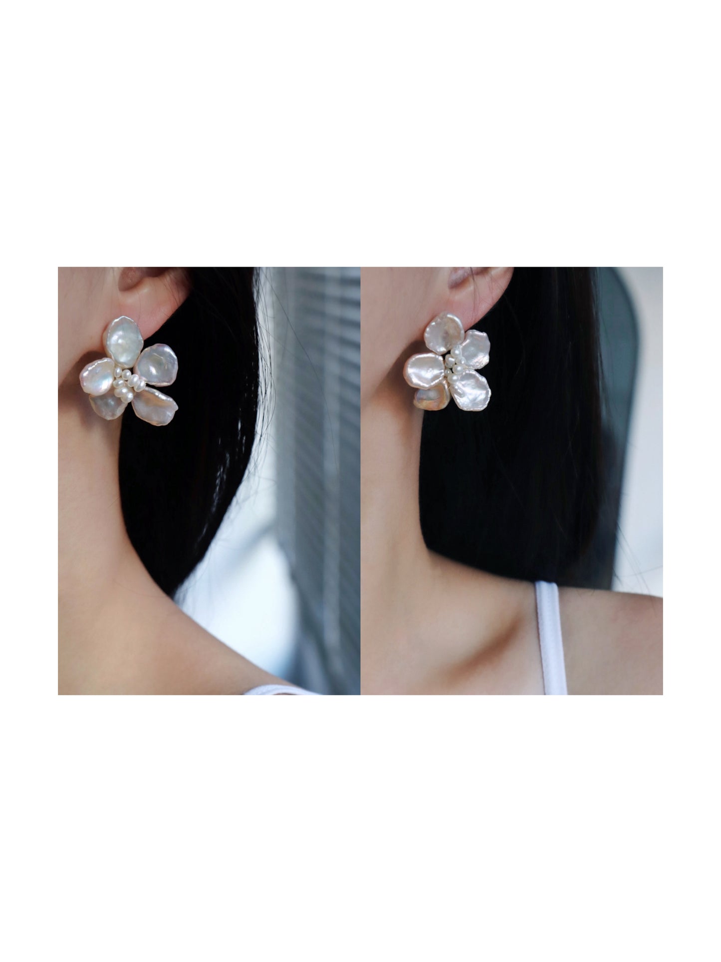 Camellia In Champagne