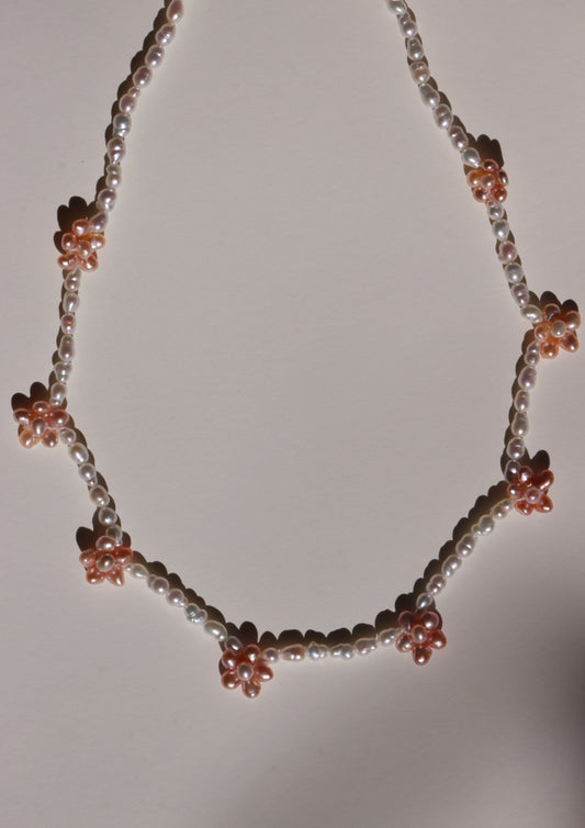 Orange Blossom