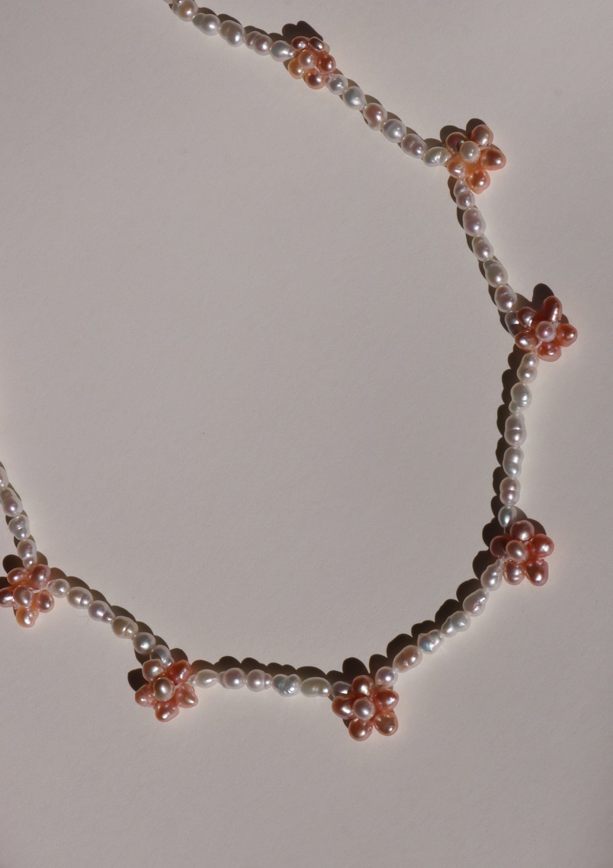 Orange Blossom