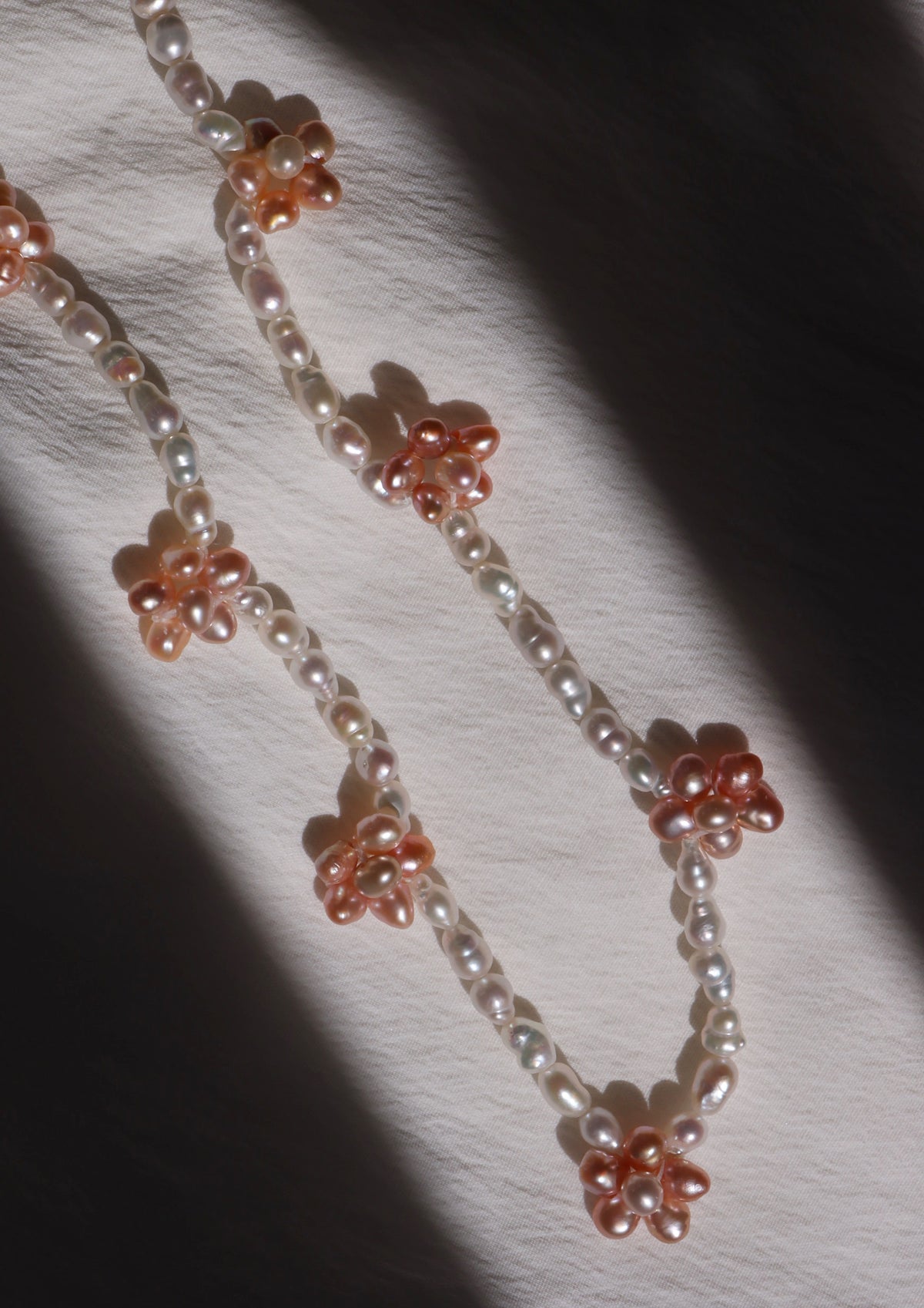 Orange Blossom