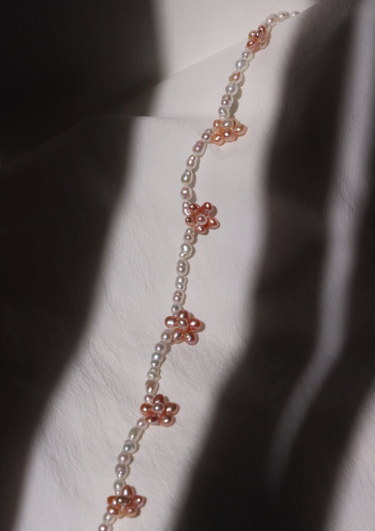 Orange Blossom
